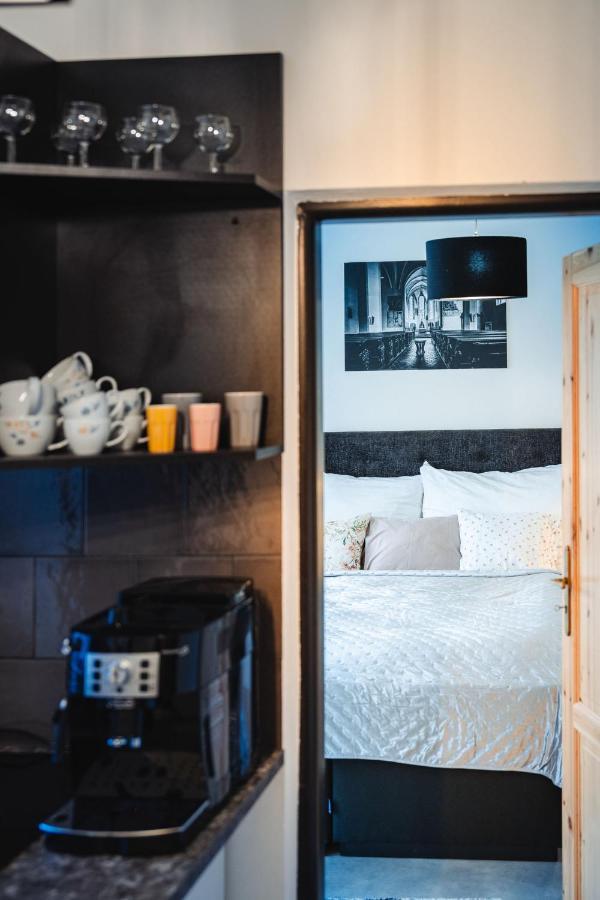 Silvie Apartments - Lazecka 奥洛穆茨 外观 照片