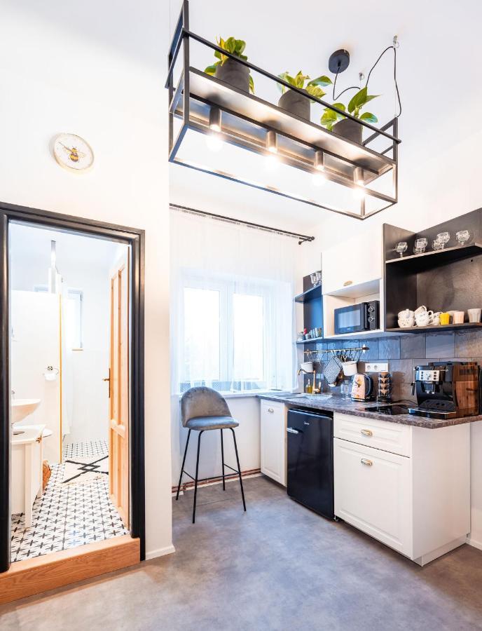 Silvie Apartments - Lazecka 奥洛穆茨 外观 照片